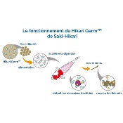 SAKI HIKARI GROWTH 2kg Taille S