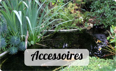 Catgorie accessoires